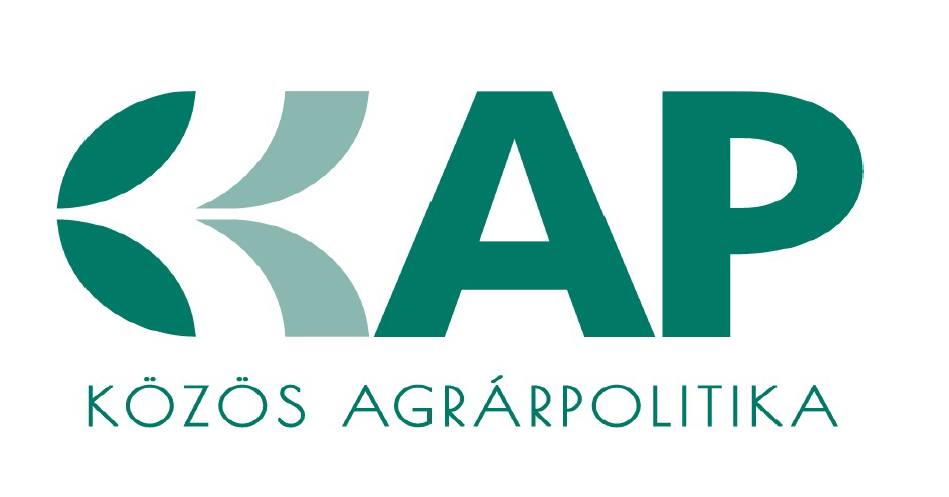 KAP Logo